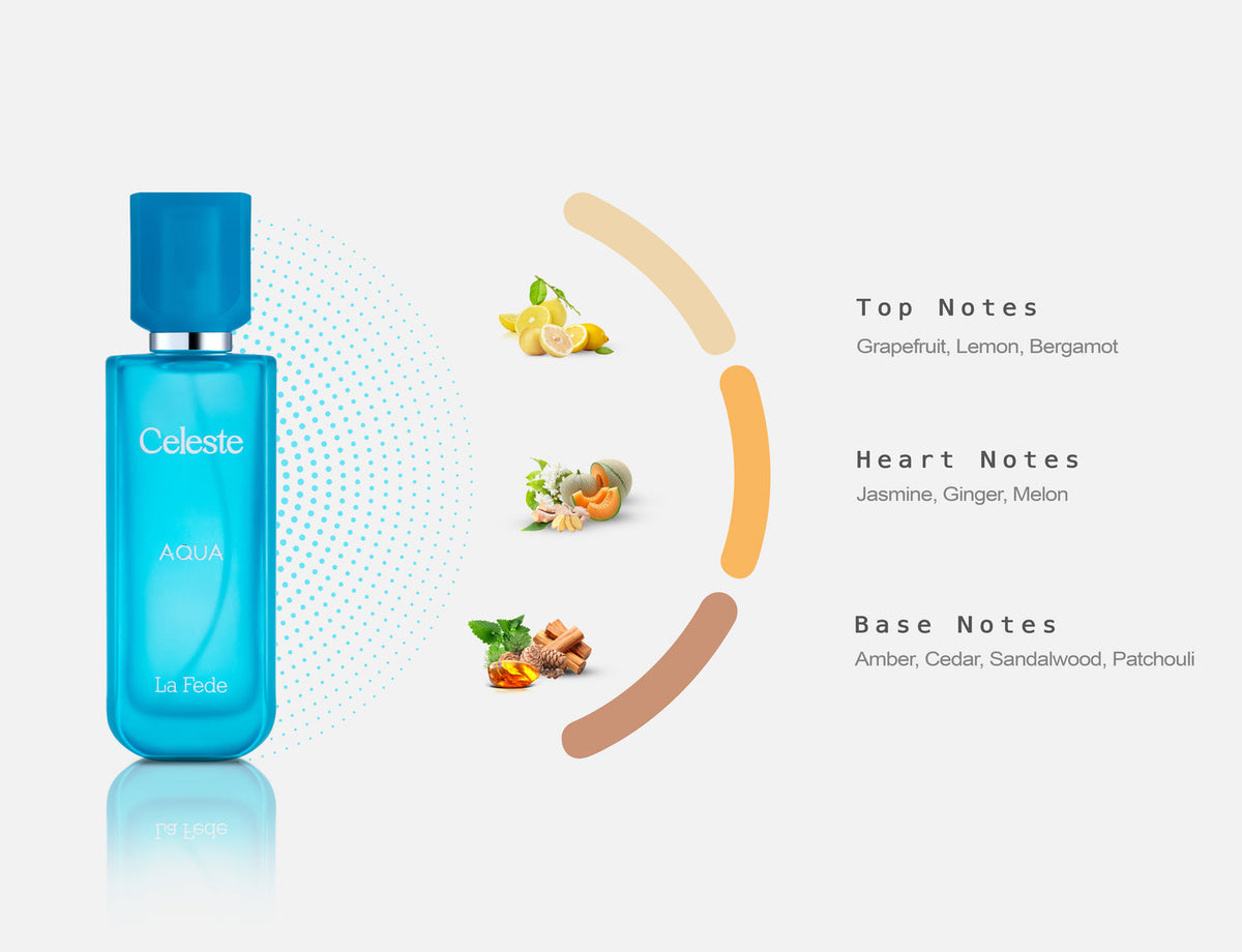 Fragrance Notes