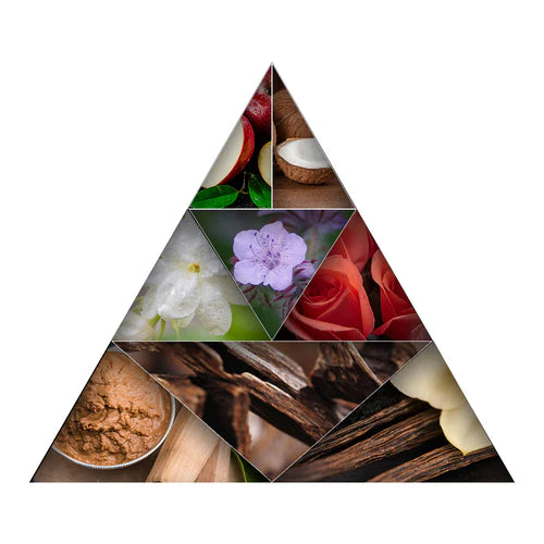 Fragrance Notes