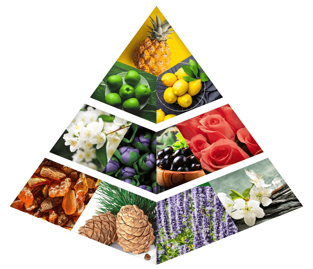 Fragrance Notes